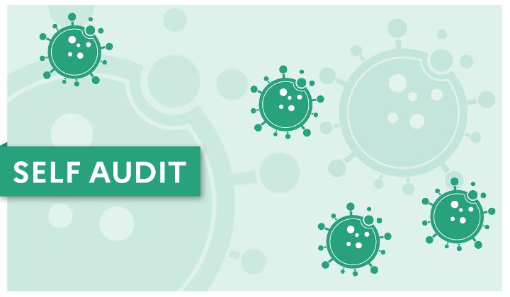 Self Audit