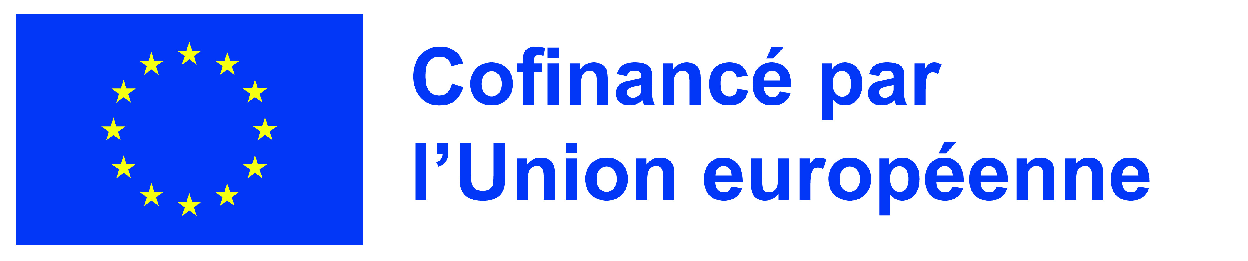 Logo de l'UE avec l'inscription "Cofinancé par l'Union européenne"